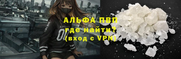 стафф Бородино