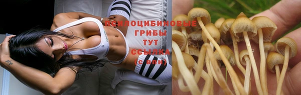 стафф Бородино