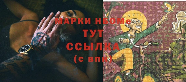 стафф Бородино