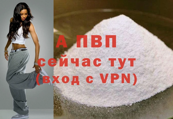 стафф Бородино